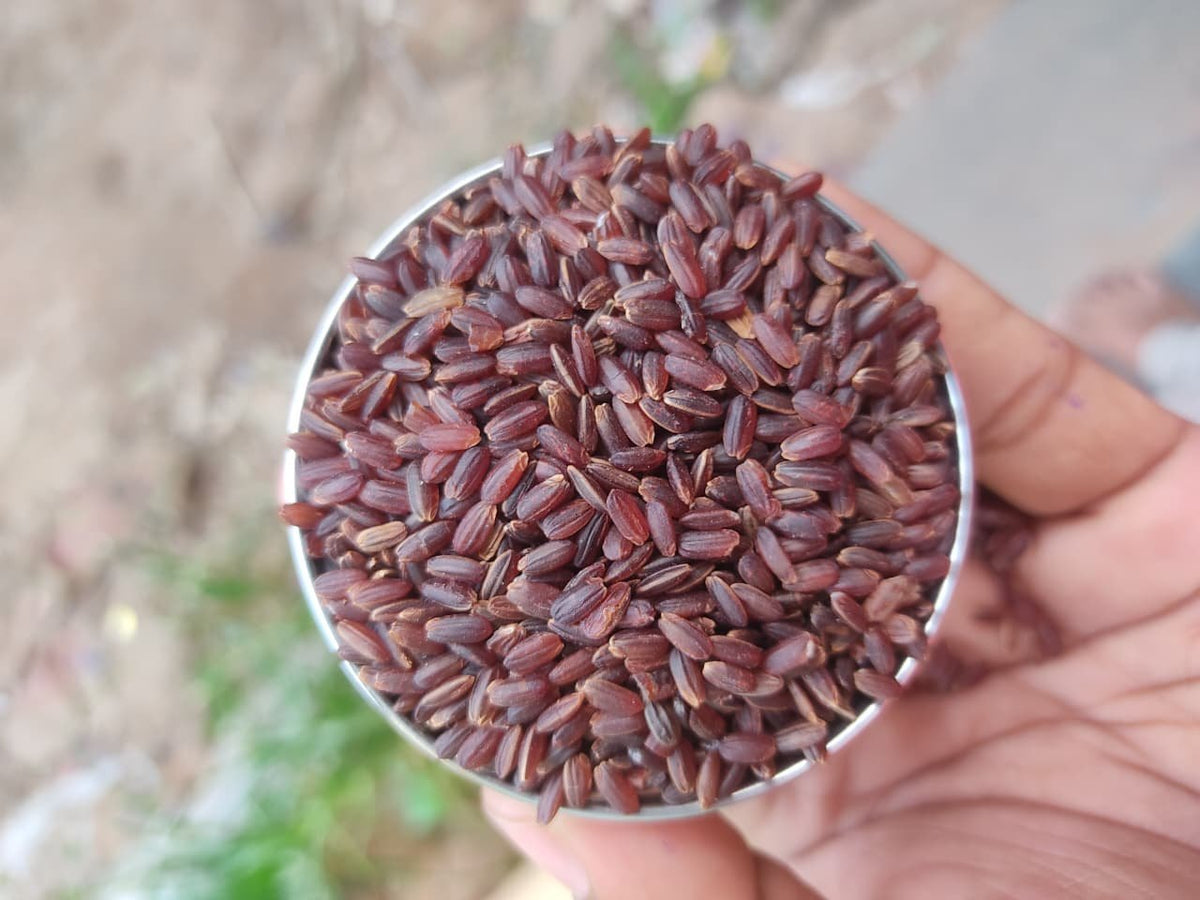 Kattuyanam Rice | Traditional South Indian Red Rice | Natural Rice Grain for Everyday Cooking