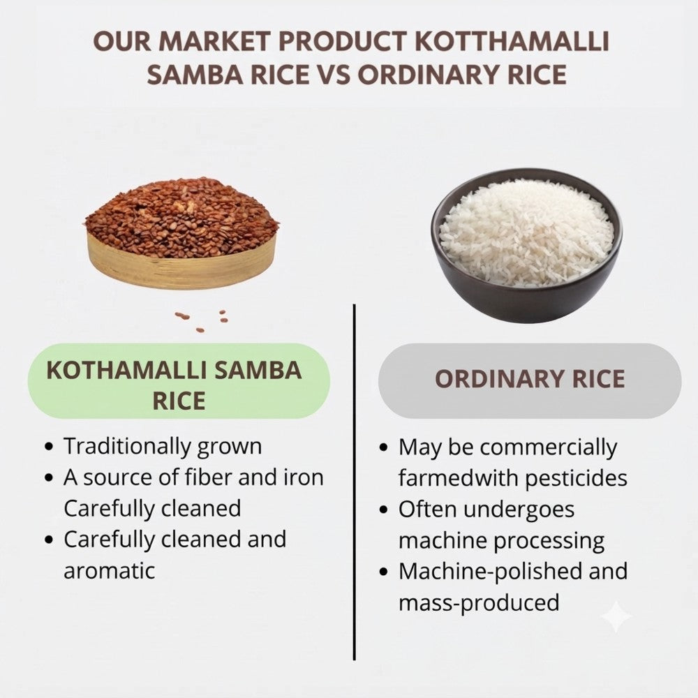 kothamalli_samba2-802kb.jpeg