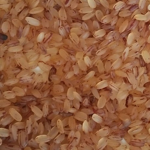 Thaiman Organic Kerala Matta Rice - 2kg