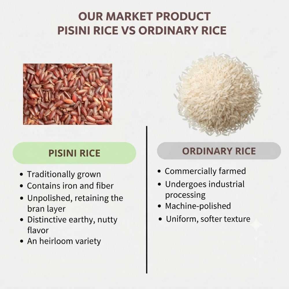 pisini_rice2-802kb.jpeg