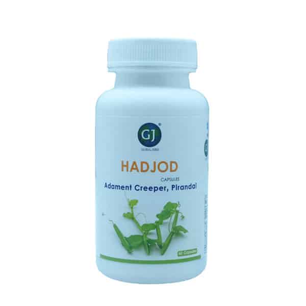 Gj Global Hadjod Capsules - 50 Capsules