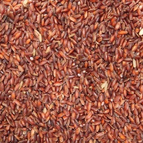 Araikkal Poongar Rice / Poongar Arisi - 500 g ( Pack of 2 ) - Orgoshops