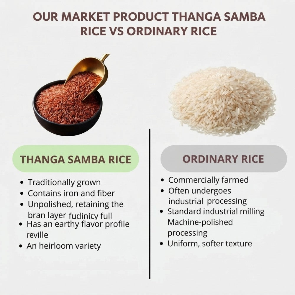 thangam_samba2-802kb.jpeg