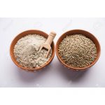 124793420-bajra-pearl-millet-sorghum-grains-with-it-s-flour-or-powder-in-a-bowl-selective-focus