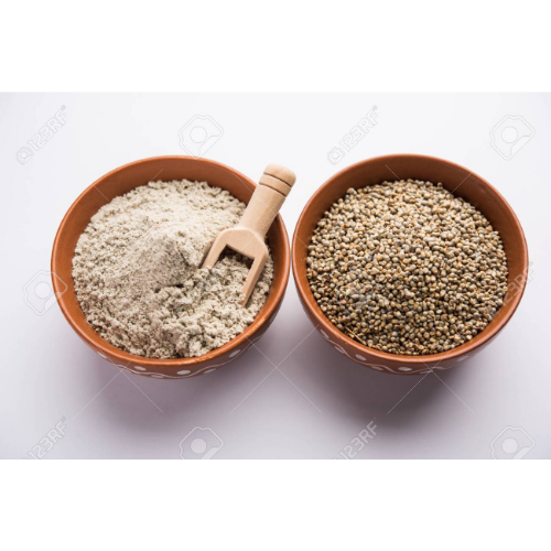 124793420-bajra-pearl-millet-sorghum-grains-with-it-s-flour-or-powder-in-a-bowl-selective-focus