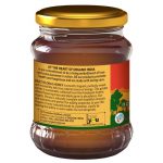 organic-honey-wild-forest-250g_252_1615268004-500x500