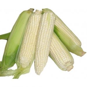 white-maize-500x500