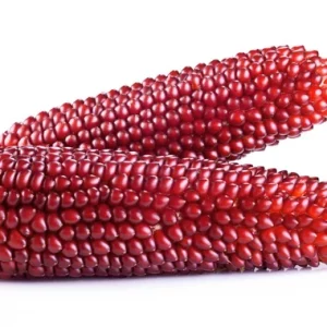 depositphotos_68881485-stock-photo-red-corn