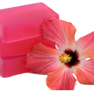 hibiscus-soap-500x500